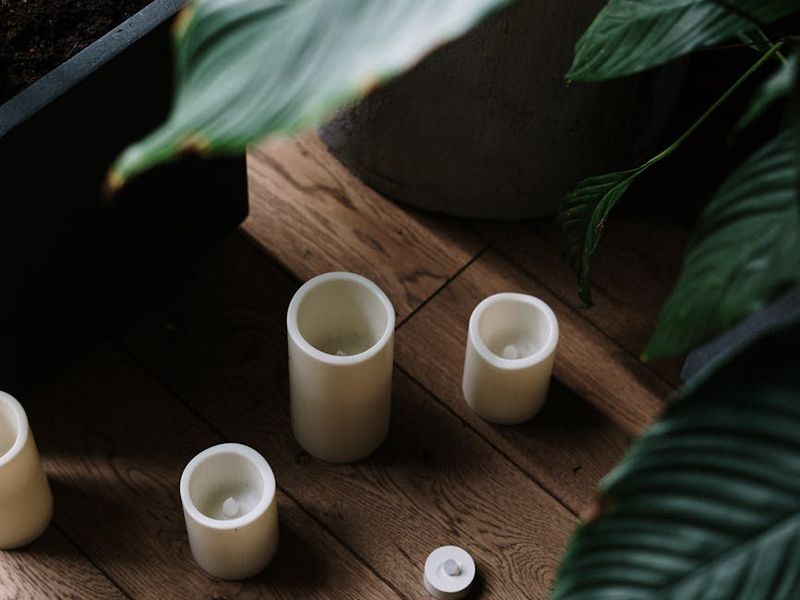 Minimalist yoga studio with wooden floors and plants.